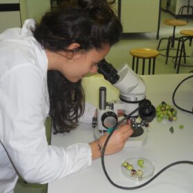 Produzioni